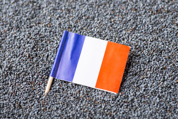 Flag of France in poppy seed. Growing poppy seed in France, origin of grain