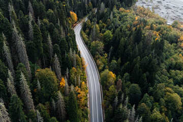 winding mountain road in the autumn forest