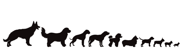 Vector silhouette of set of dogs on white background. Symbol of pet and dog.