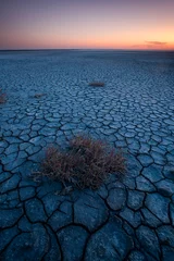 Fotobehang Slaapkamer Broken dry soil in a Pampas lagoon, La Pampa province, Patagonia, Argentina.  © foto4440
