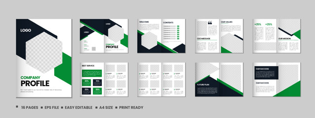 Company profile, multipage flyer brochure, 16 pages portfolio magazine, annual report, catalog and a4 multipage template design
