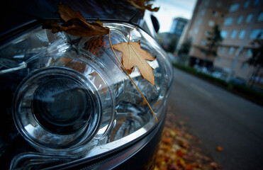 Yellow autumn leaves lie on a car headlight - 678669087