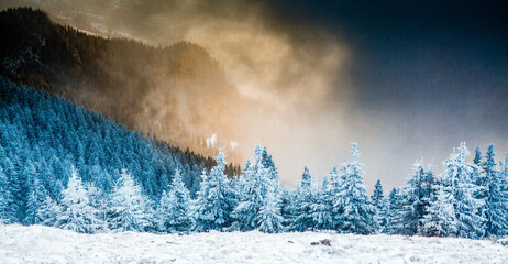 beautiful winter landscape with snowy fir trees in the mountains