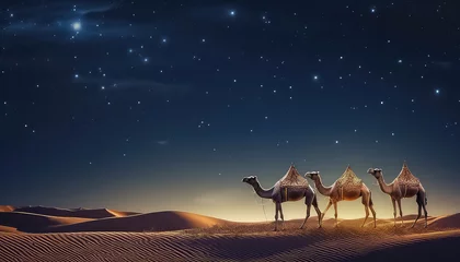 Türaufkleber Camel at night in desert with stars, ramadan concept © terra.incognita