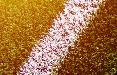 White stripe on a bright green artificial grass soccer field