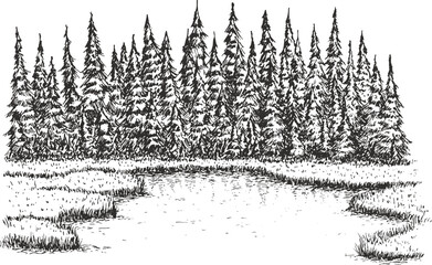 Beautiful forest lake or river with pine trees on shore in hand drawn sketch style. Panoramic rural landscape. Vector illustration nature. - obrazy, fototapety, plakaty