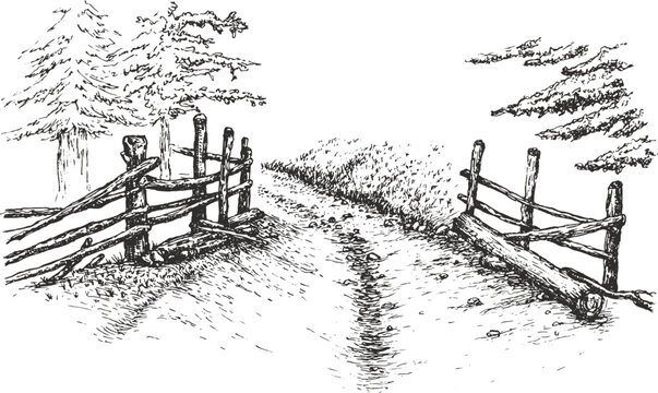 Country road with wood fence and trees along way in hand drawn sketch style. Vintage monochrome nature composition isolated on white background. Vector grayscale retro illustration.