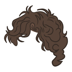 Curly Men Hairstyle