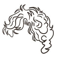 Curly Hairstyle Drawing