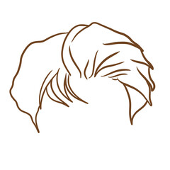 Haircut Drawing