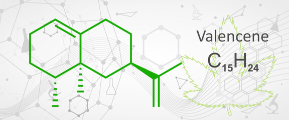 Valencene is a sesquiterpene that is an aroma component of citrus fruit and citrus-derived odorants. It is obtained inexpensively from Valencia oranges. Skeletal chemical formula.