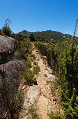 Fototapeta na wymiar A hiking trail near a lodge in Piekenierskloof, Western Cape, South Africa.