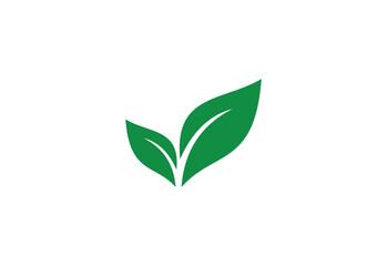 Green Leaf natural logo design, Vector design template