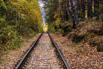An empty railway road passes through the autumn forest. - Powered by Adobe