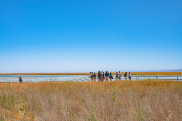 Turistas caminhando perto da Lagoa Cejar (Laguna Cejar) no deserto do Atacama em dia ensolarado. 