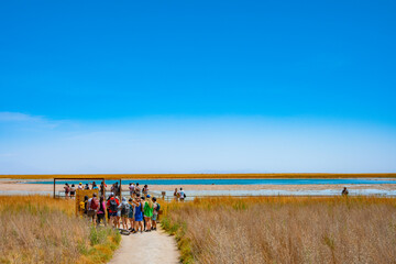 Turistas caminhando perto da Lagoa Cejar (Laguna Cejar) no deserto do Atacama em dia ensolarado. 
