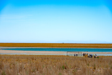 Turistas caminhando perto da Lagoa Cejar (Laguna Cejar) no deserto do Atacama em dia ensolarado. 