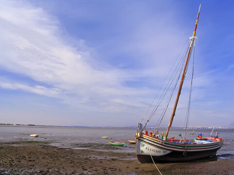 Alcochete, Portugal. February 5, 2023: Alcatejo sail boat, a historical, typical or traditional Tagus river estuary sailboat at Alcochete with a view of the Tagus river estuary on low tide