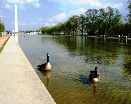 Washington DC