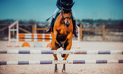 A beautiful sorrel horse with a rider in the saddle jumps over a high barrier at a show jumping...