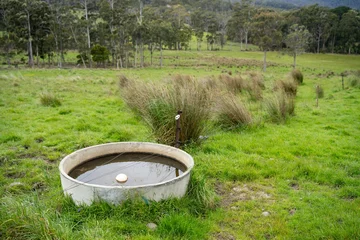 Foto op Plexiglas livestock water trough in a field on a cattle farm in Australia © Phoebe