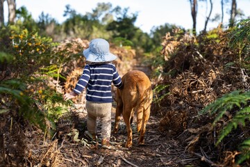 baby waling a dog on a lead in the wild forest together walking in a park in australia in spring