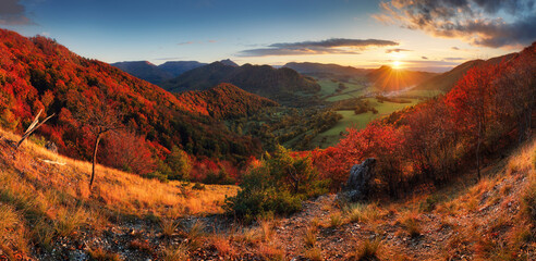 Autumn mountain panorama with red autum trees. - obrazy, fototapety, plakaty