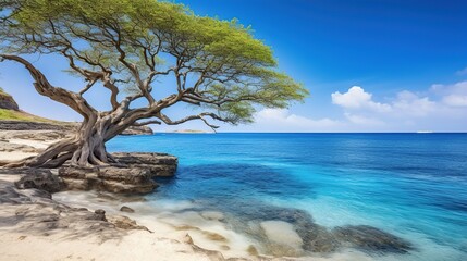 Fototapeta na wymiar Tree on the beach with blue sky background. Seascape