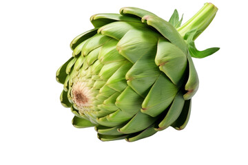a Fresh artichoke on white transparent background