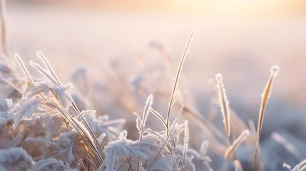 Fotobehang Dry grass covered with frost and ice © Ziyan