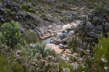 mountain river in the mountains