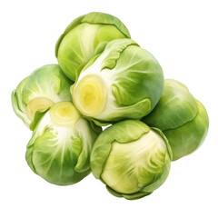 Obraz premium Watercolor hand painted style brussels sprouts on white transparent background
