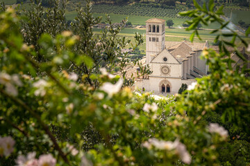 Assisi San Francesco