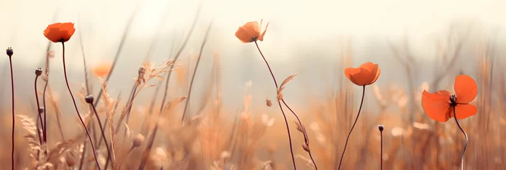 Foto op Canvas Autumn summer landscape nature background. Dried flowers on meadow on golden hour. Seasonal backdrop, wallpaper, generative ai © pawczar