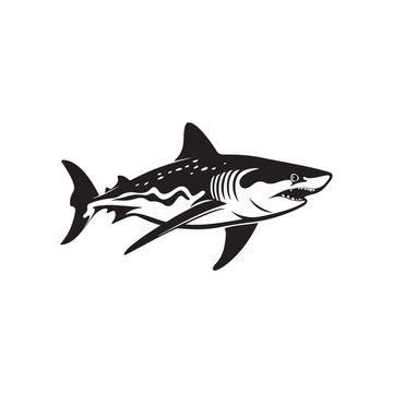 Shark Image Vector Image, Logo, design