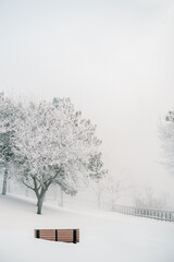 Winter's Hush: Frozen Morning Bliss with a Snow-Blanketed Bench