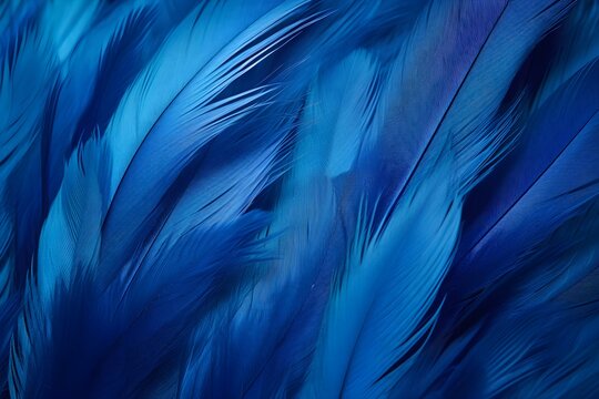 Macro of Blue Feathers Texture as Background. Swan Feather. Dark Blue Feather Vintage Backdrop.