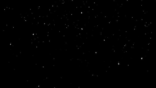 Falling snow. Animation background. Alpha channel