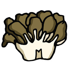マイタケ　イラスト