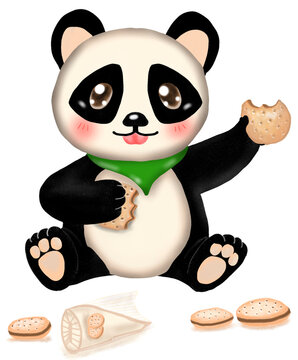 Panda sitting and eating cookies.