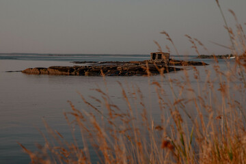 Fototapeta na wymiar Deserted island in the sea with reeds and dry grass on the shore