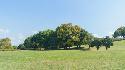 日本の公園の風景【千葉県千葉市】秋の千葉ポートパーク・芝生広場
