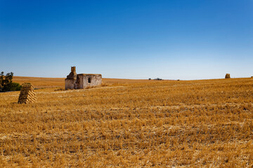 A derelict farm house in an open field with blue skies near Porterville in the Western Cape, South...