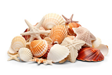 Decorations of seashell, ocean mollusk and starfish isolated on transparent background, cutout png file