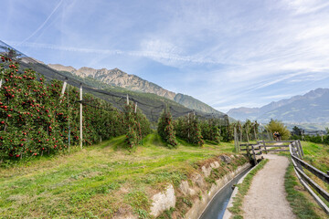 Algunder Waalweg - Meran - Südtirol - Italien