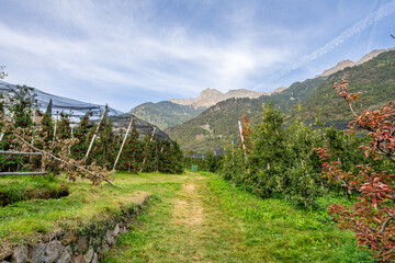 Algunder Waalweg - Meran - Südtirol - Italien