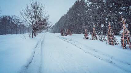 紋別　網走　北海道　流氷