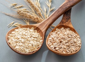Oats and wheat flakes in wooden spoons on gray background. Healthy concept.