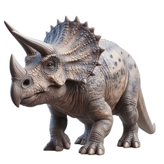 Triceratops isolated on white - obrazy, fototapety, plakaty