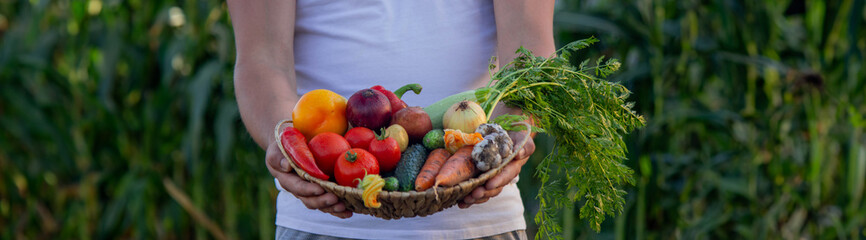 male farmer holding freshly picked vegetables. Selective focus.